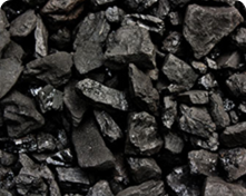 Coal (hard coal and brown coal)